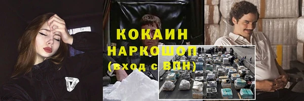 spice Куйбышев