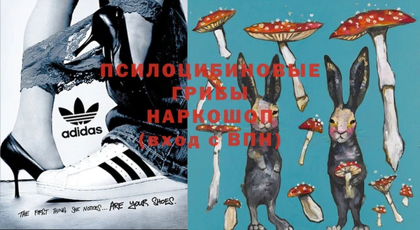 spice Куйбышев