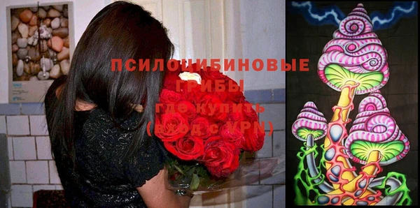 марихуана Ельня
