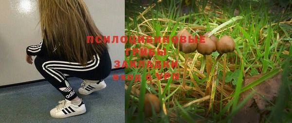 шишки Кулебаки